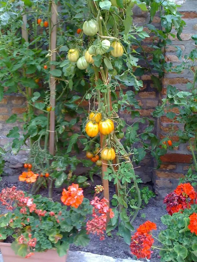 Ca' Ermina & Garden Apartment Venice